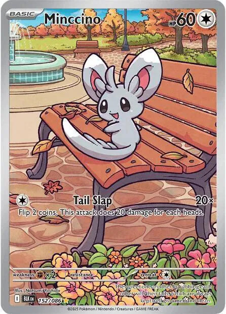 Minccino 152/086 (Black Bolt)
