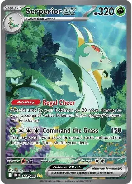 PSA 10 Serperior ex Black Bolt Special Illustration Rare 164/086