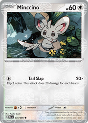 Minccino (Master Ball Pattern) 075/086 (Black Bolt)