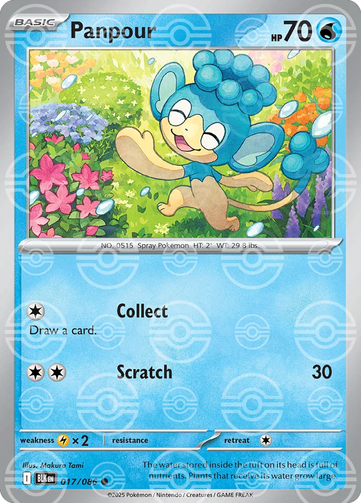 Panpour 017/086 BLK Poke Ball Pattern