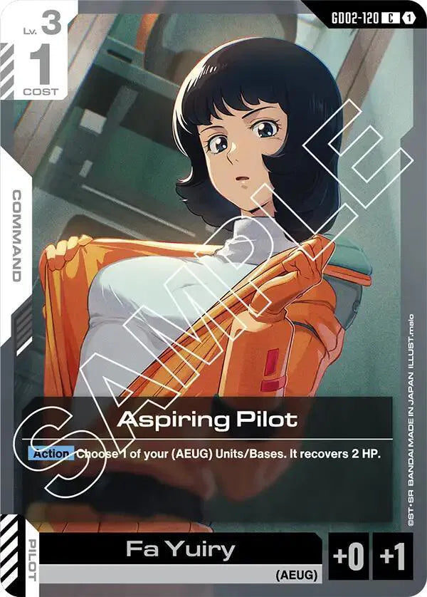 Aspiring Pilot GD02-120 · Normal (Dual Impact)