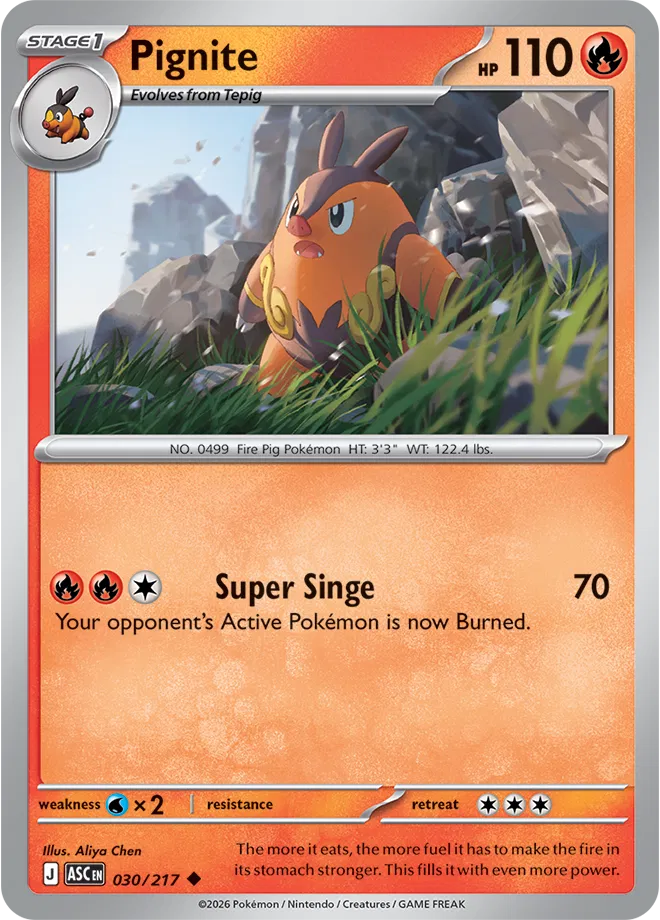 Pignite 030/217 (Ascended Heroes)
