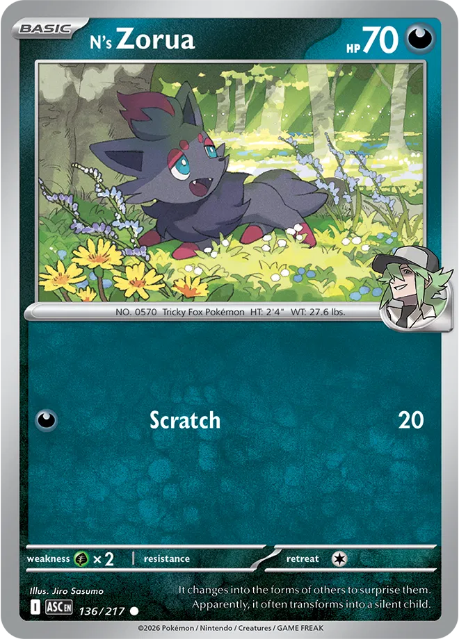 N's Zorua 136/217 (Ascended Heroes)