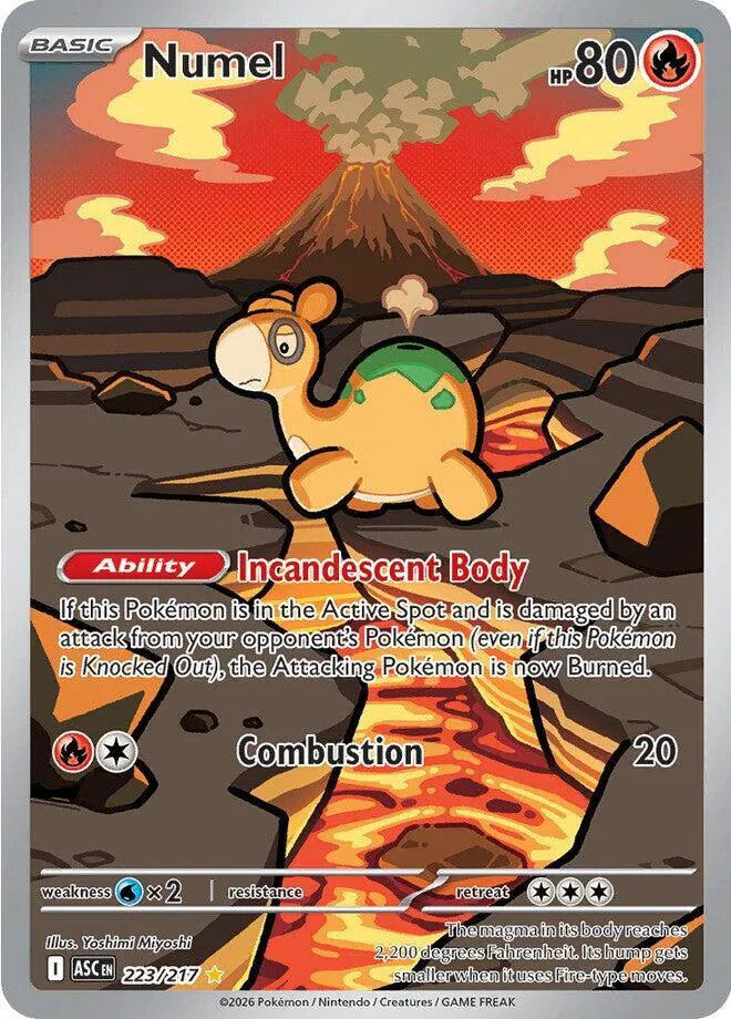 Numel Ascended Heroes Illustration Rare 223/217
