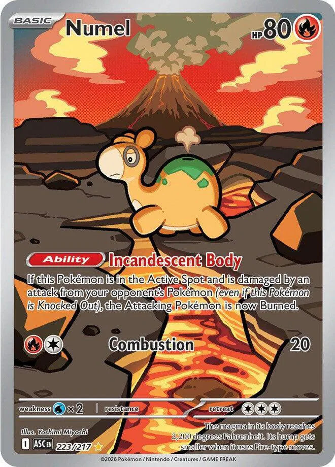 Numel 223/217 · Holofoil (Ascended Heroes)