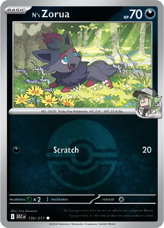 N's Zorua (Poke Ball) 136/217 (Ascended Heroes)