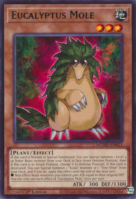 Eucalyptus Mole MZMU-EN021 (Maze of Muertos)