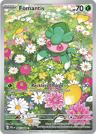Fomantis 085/084 (Pitch Black)