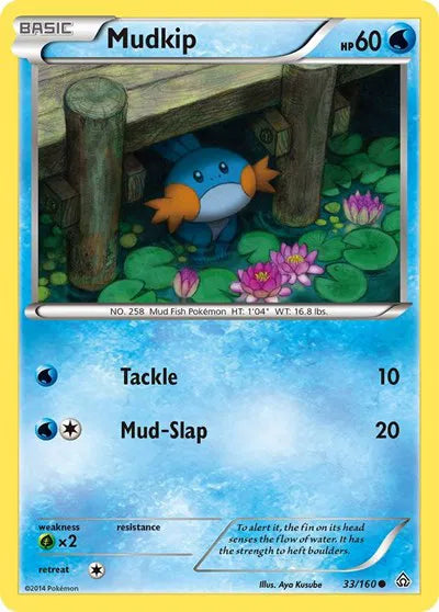 Mudkip 33 · Normal (Primal Clash)