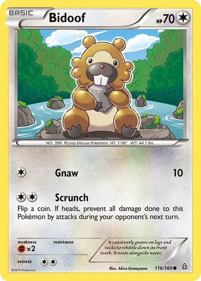 Bidoof 116 · Normal (Primal Clash)