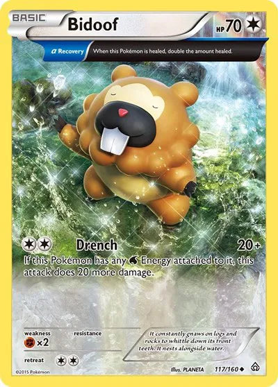 Bidoof (Alpha) 117 · Normal (Primal Clash)
