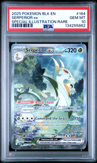 PSA 10 GEM MINT - SERPERIOR ex - Black Bolt - 164/086 by TBD TCG on MYNTED