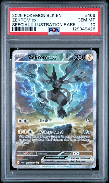 Pokémon PSA Cards | Buy PSA 10 Gem Mint Slabs | MYNTED