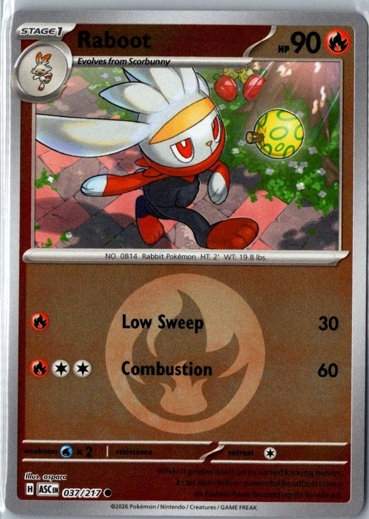 Raboot - 037/217 (Energy Symbol Pattern) - ME: Ascended Heroes (ASC) by SAFAQATI on MYNTED