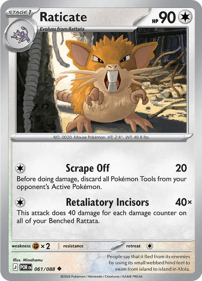 Raticate 061 - Perfect Order by PokéPW on MYNTED