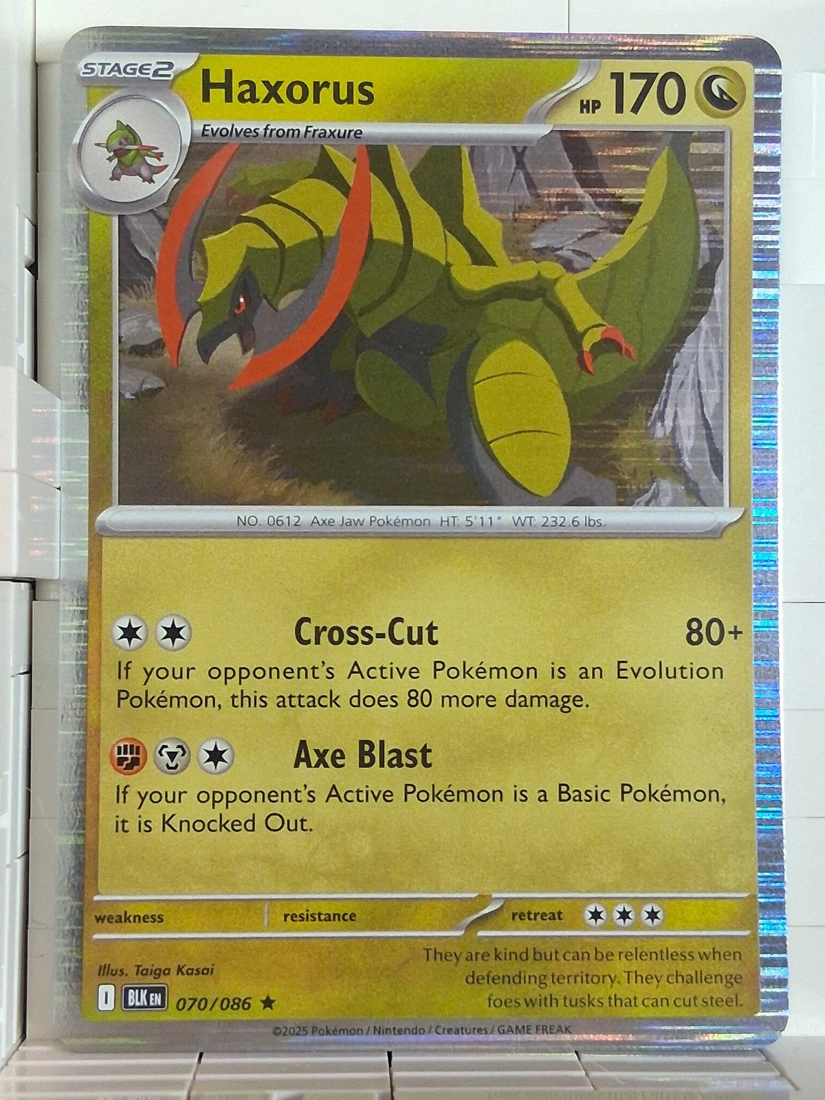 Haxorus 070/086 Black Bolt Rare Holo