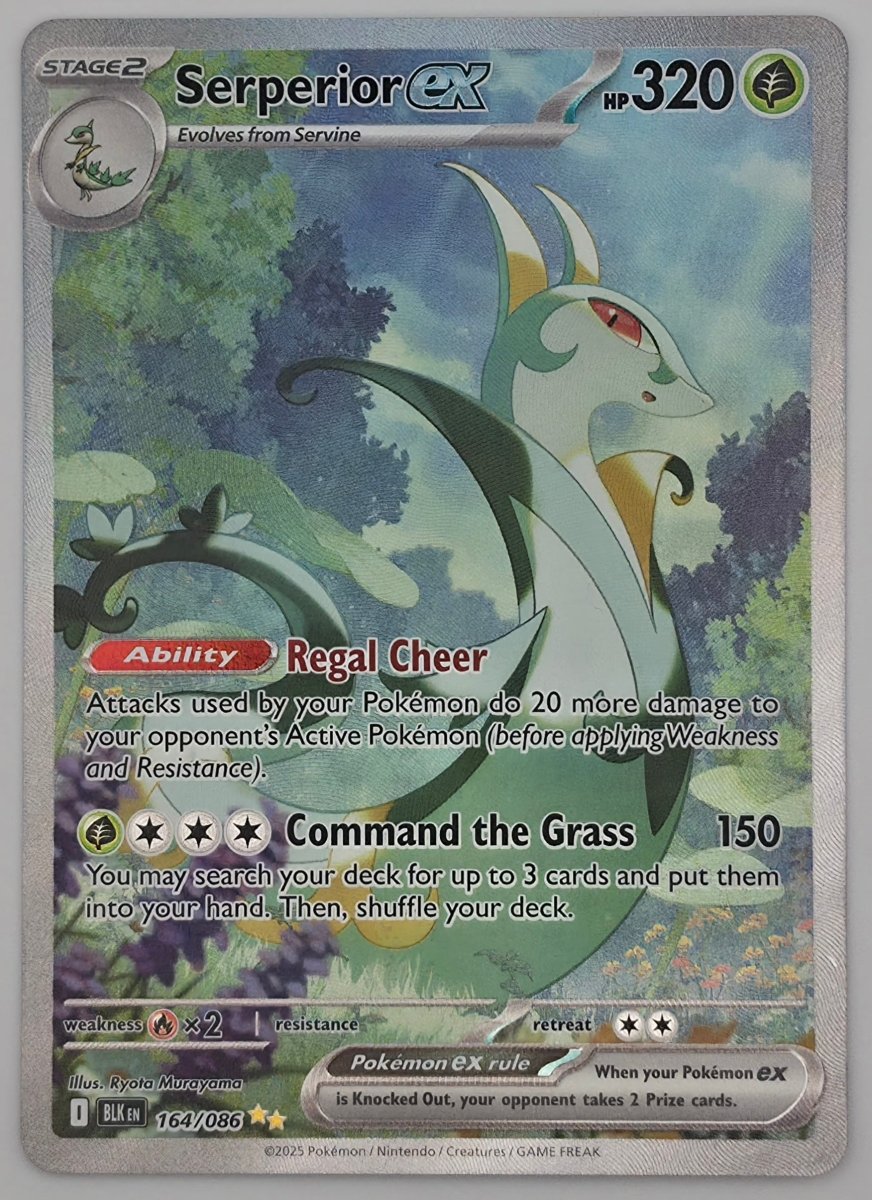 Serperior ex - 164/086 - SV: Black Bolt (BLK) by Poké Dubai on MYNTED