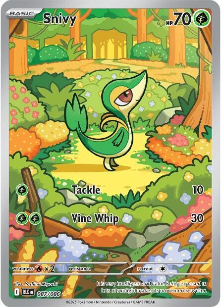 Snivy - 087/086 - SV: Black Bolt (BLK) by SAFAQATI on MYNTED