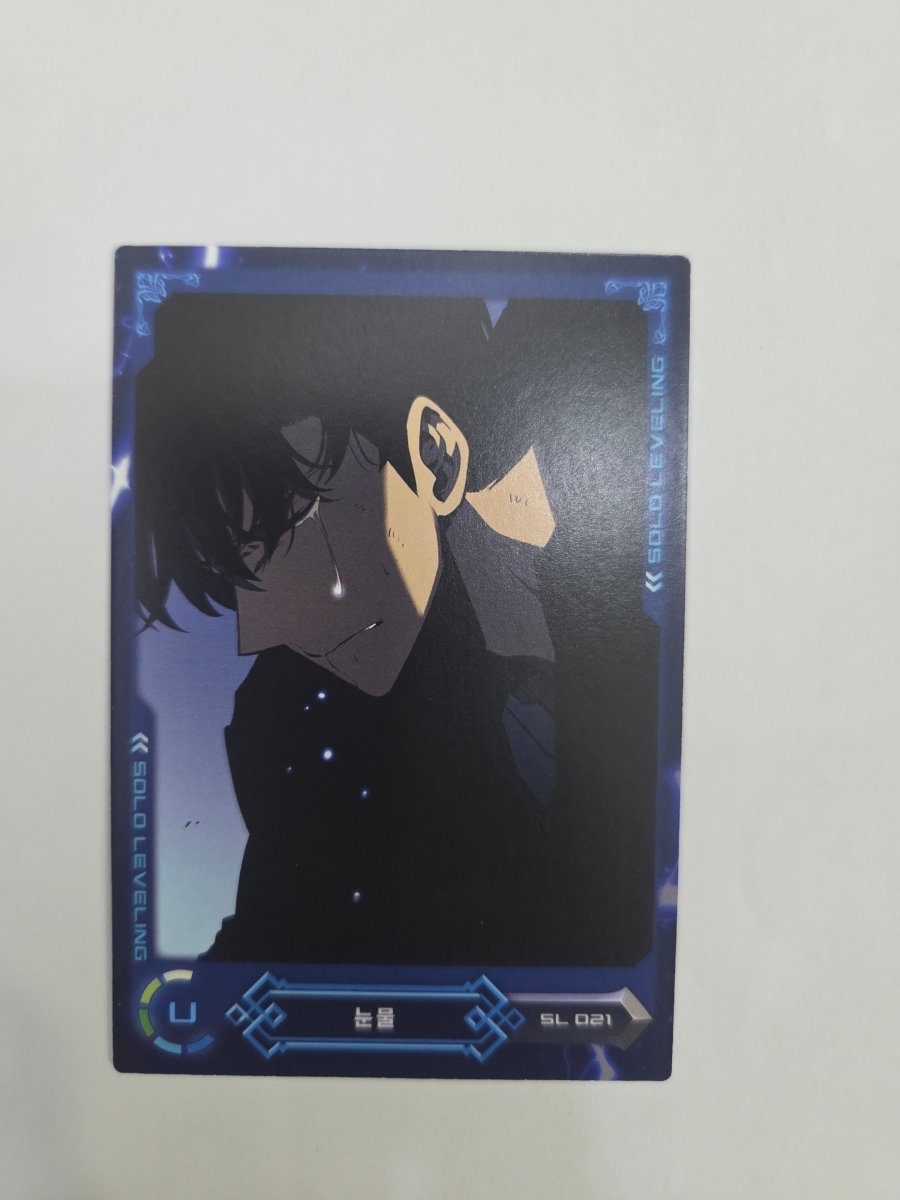 Solo Leveling Korean Manhwa Collecting Card Vol.1 SL 021 U by Apex Cards on MYNTED