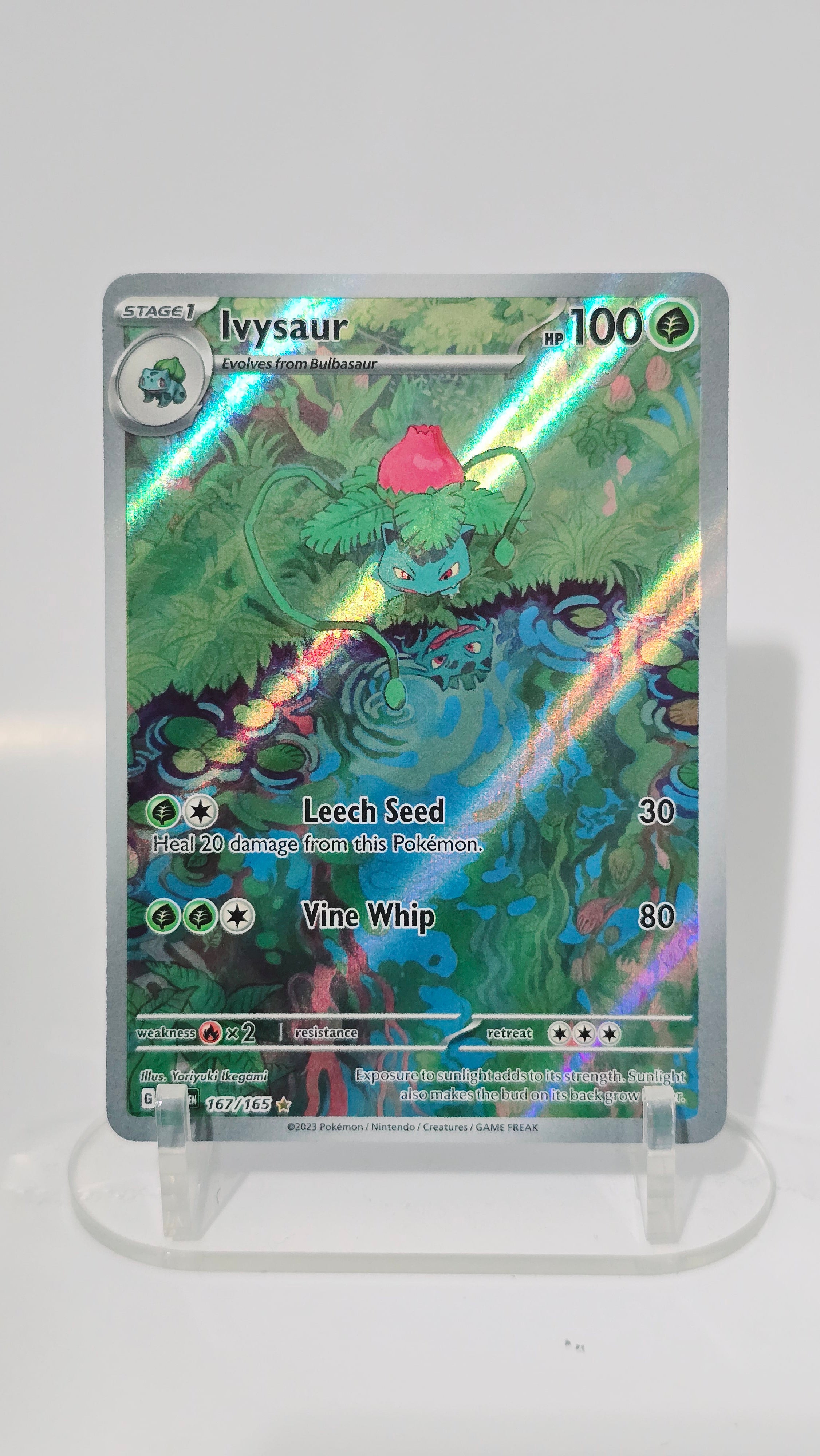 Ivysaur - SV: 151 - IR 167/165 - English