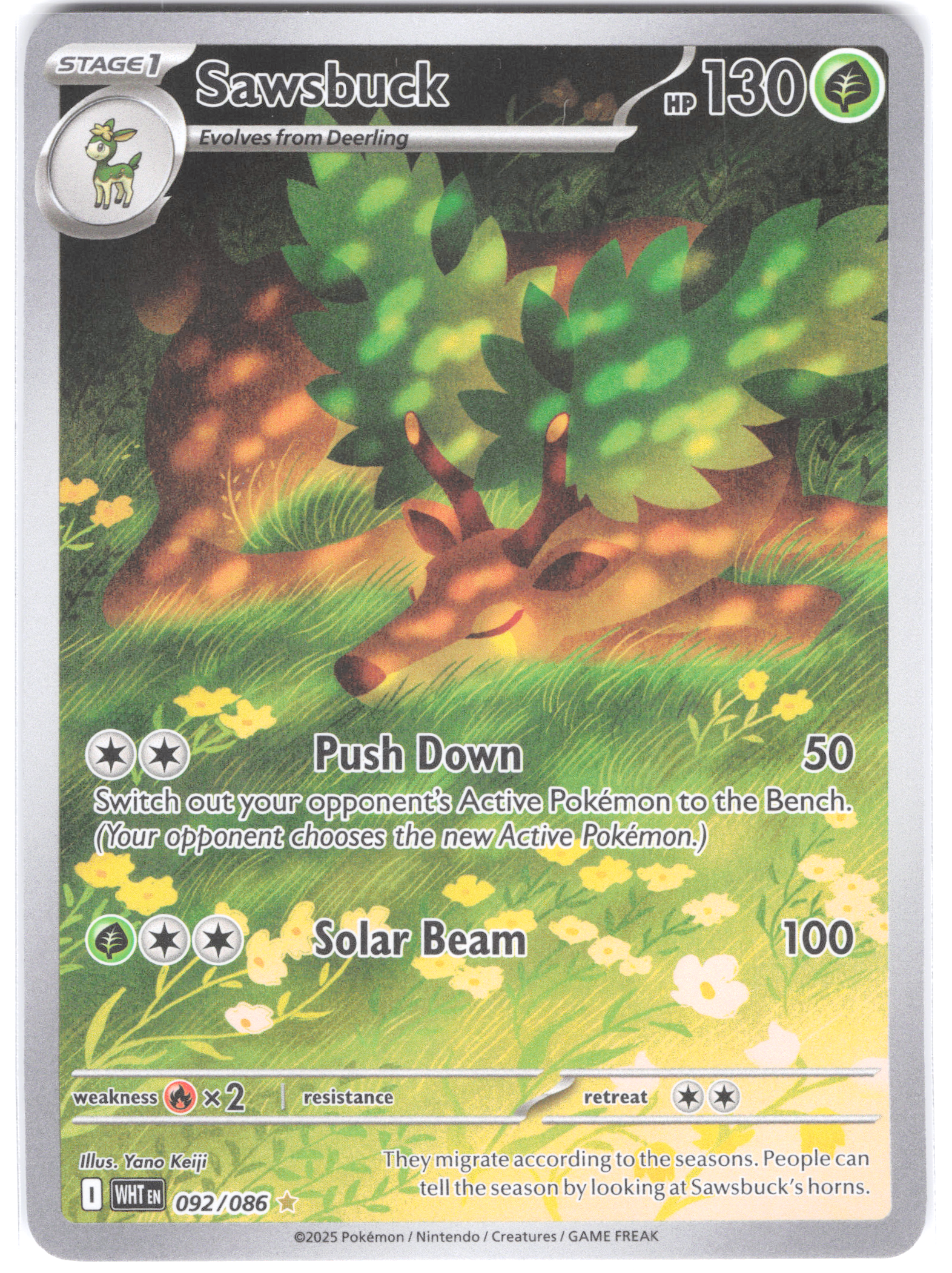 Sawsbuck White Flare Illustration Rare 092/086
