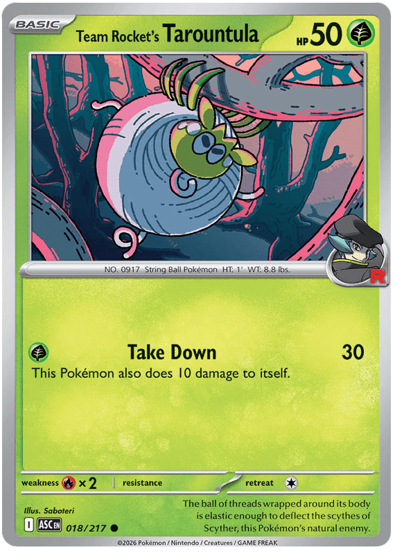 Team Rocket's Tarountula 018/217 Common | Mega Evolution – Ascended Heroes by Worth the XP on MYNTED