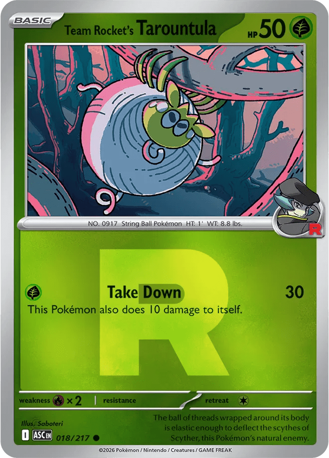 Team Rocket's Tarountula (Team Rocket) Ascended Heroes Common 018/217 by PokeSource on MYNTED