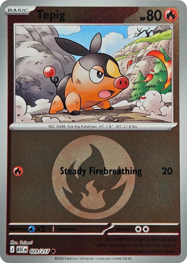 Tepig 029/217 - Ascended Heroes - Energy Symbol Pattern by Light Collectibles on MYNTED