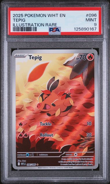 Tepig - 096/086 by The Archive Stop on MYNTED