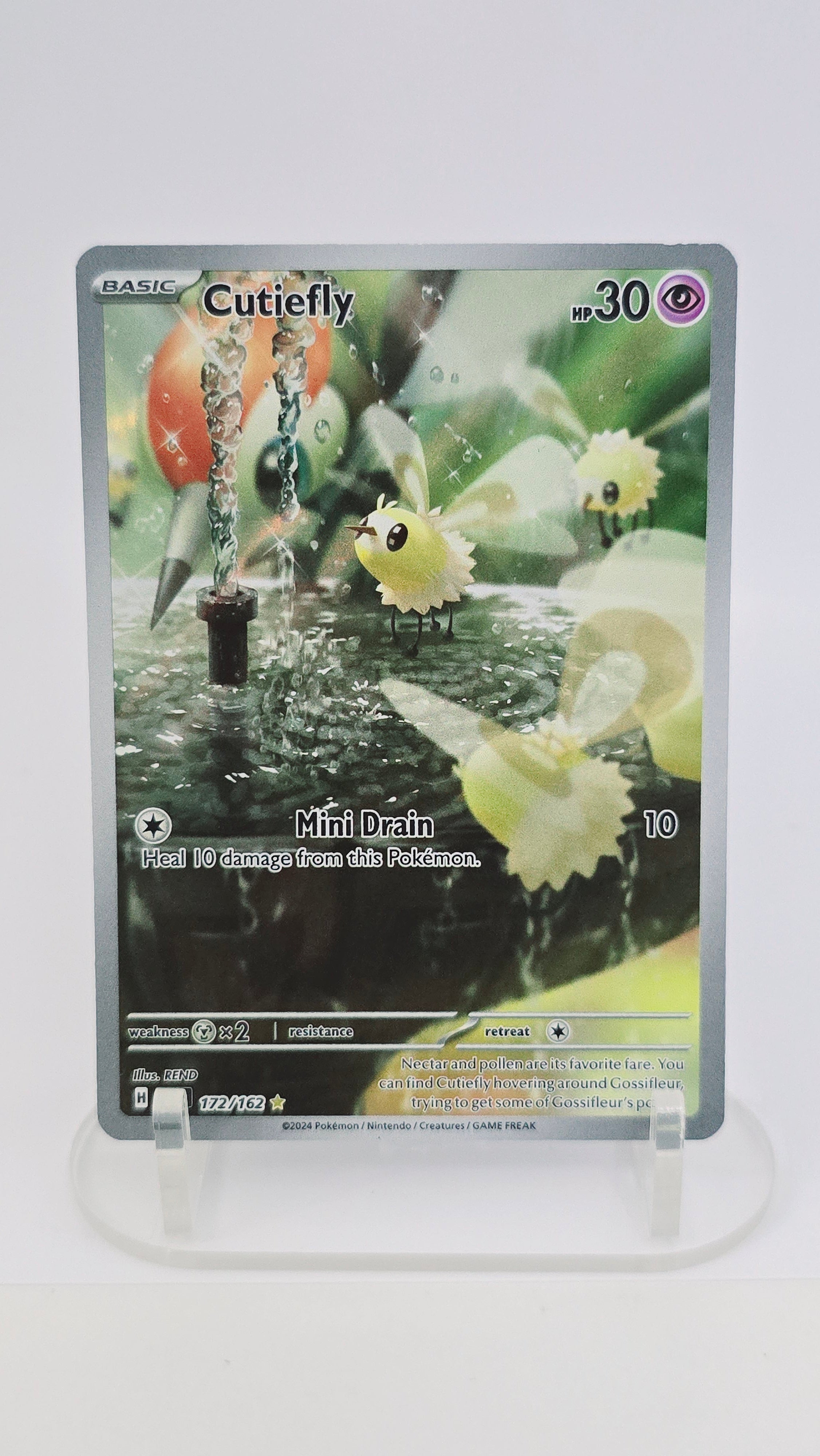 Cutiefly - Temporal Forces - IR 172/162 - English