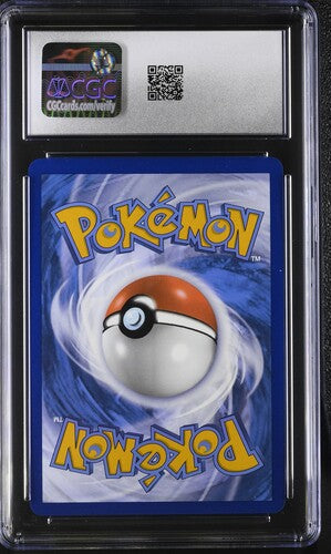 Lucario V Sword & Shield Promo Promo SWSH213