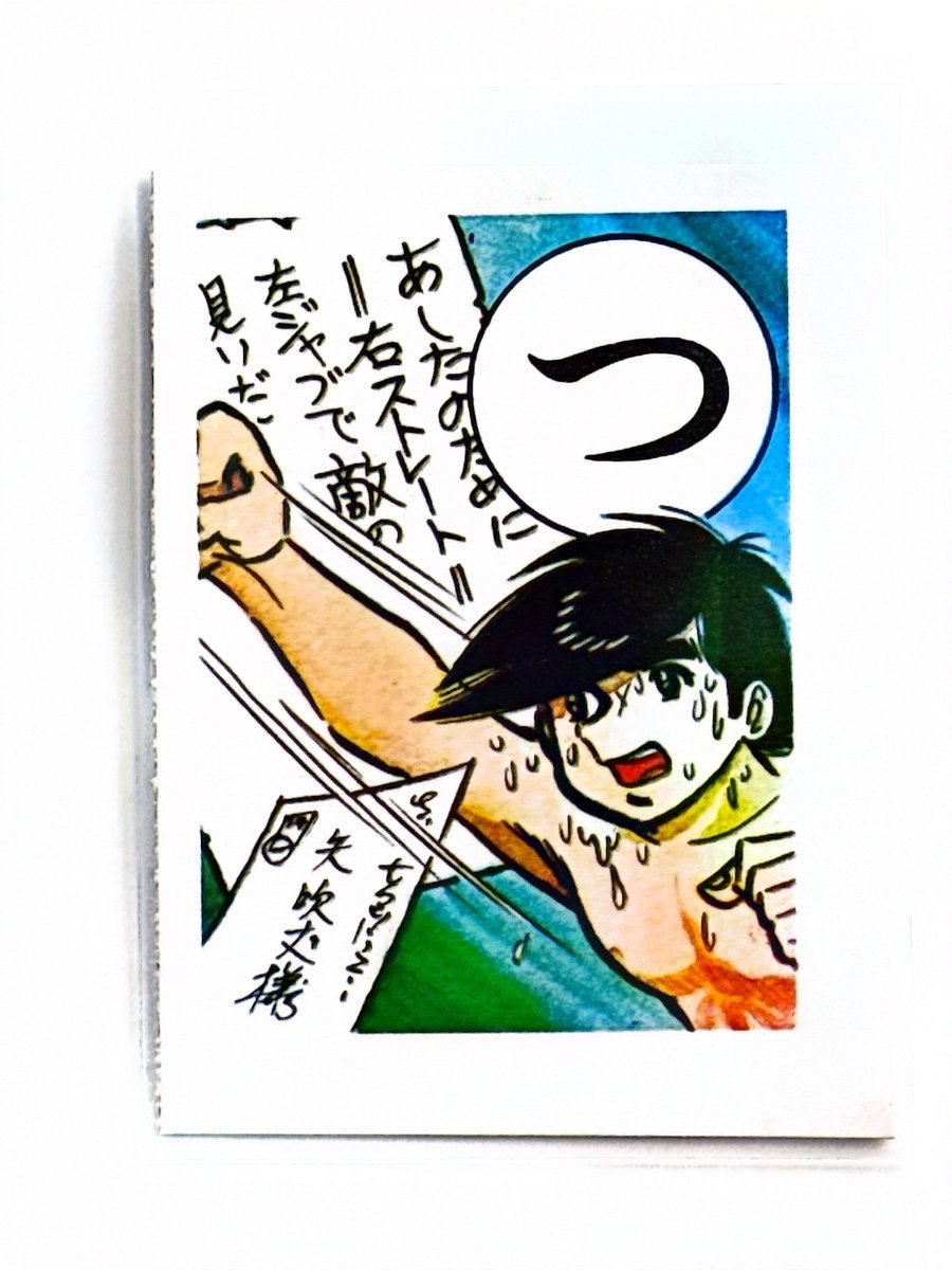 Tomorrow's Joe (Ashita no Joe) - Karuta Cards Bundle (+10 cards) by TCGDON on MYNTED