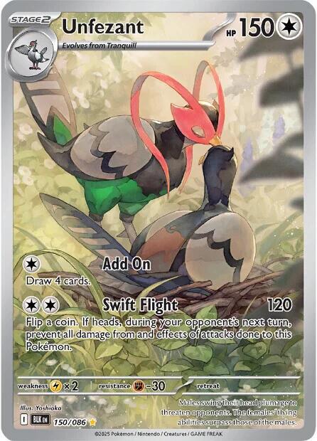 Unfezant by Shaibz TCG on MYNTED
