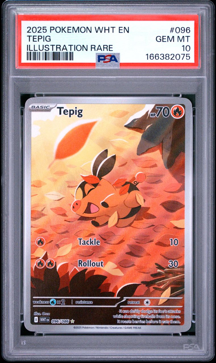 PSA 10 Tepig White Flare Illustration Rare 096/086