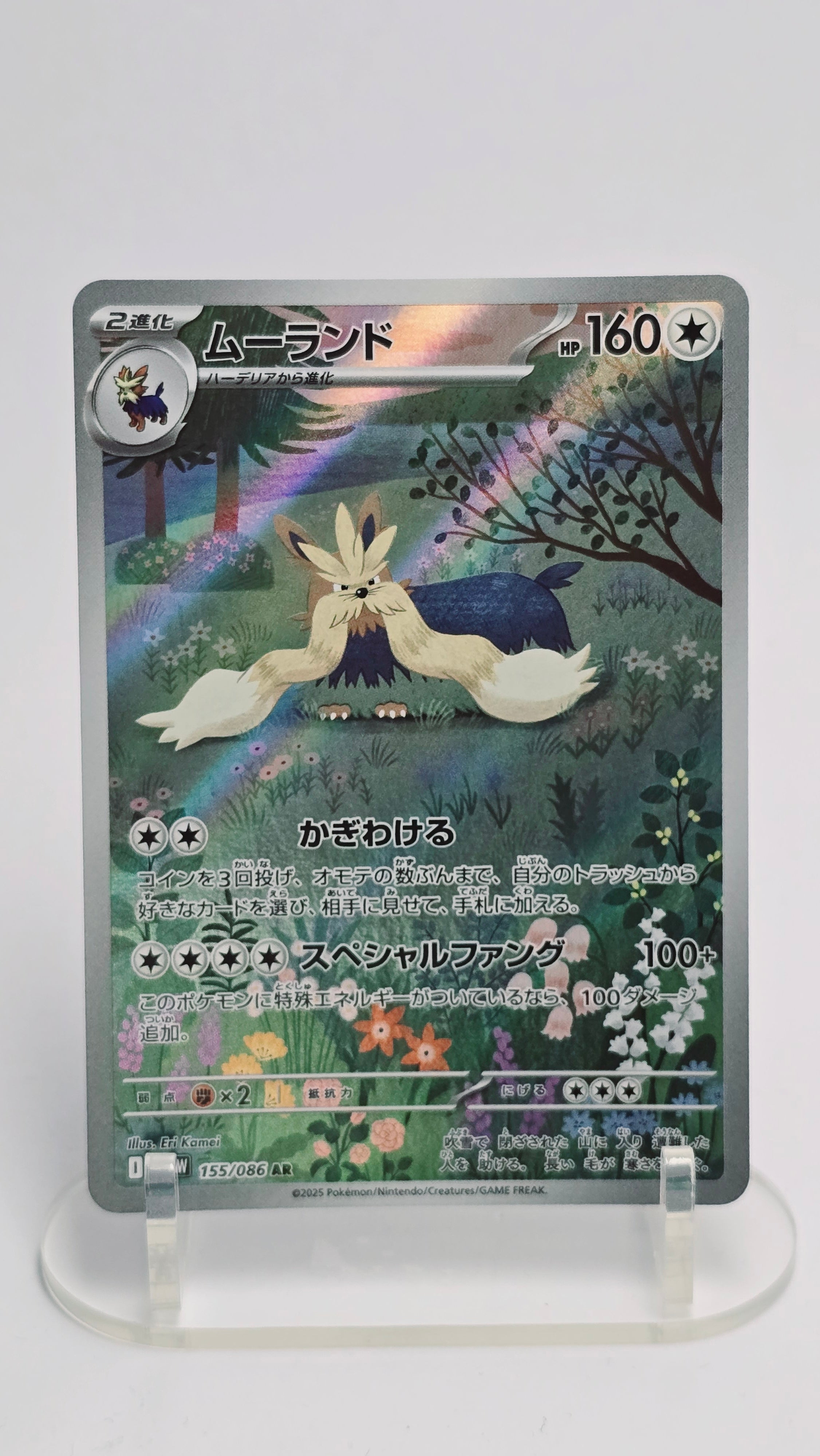 Stoutland (JP) - White Flare - AR 155/086 - Japanese (JP)