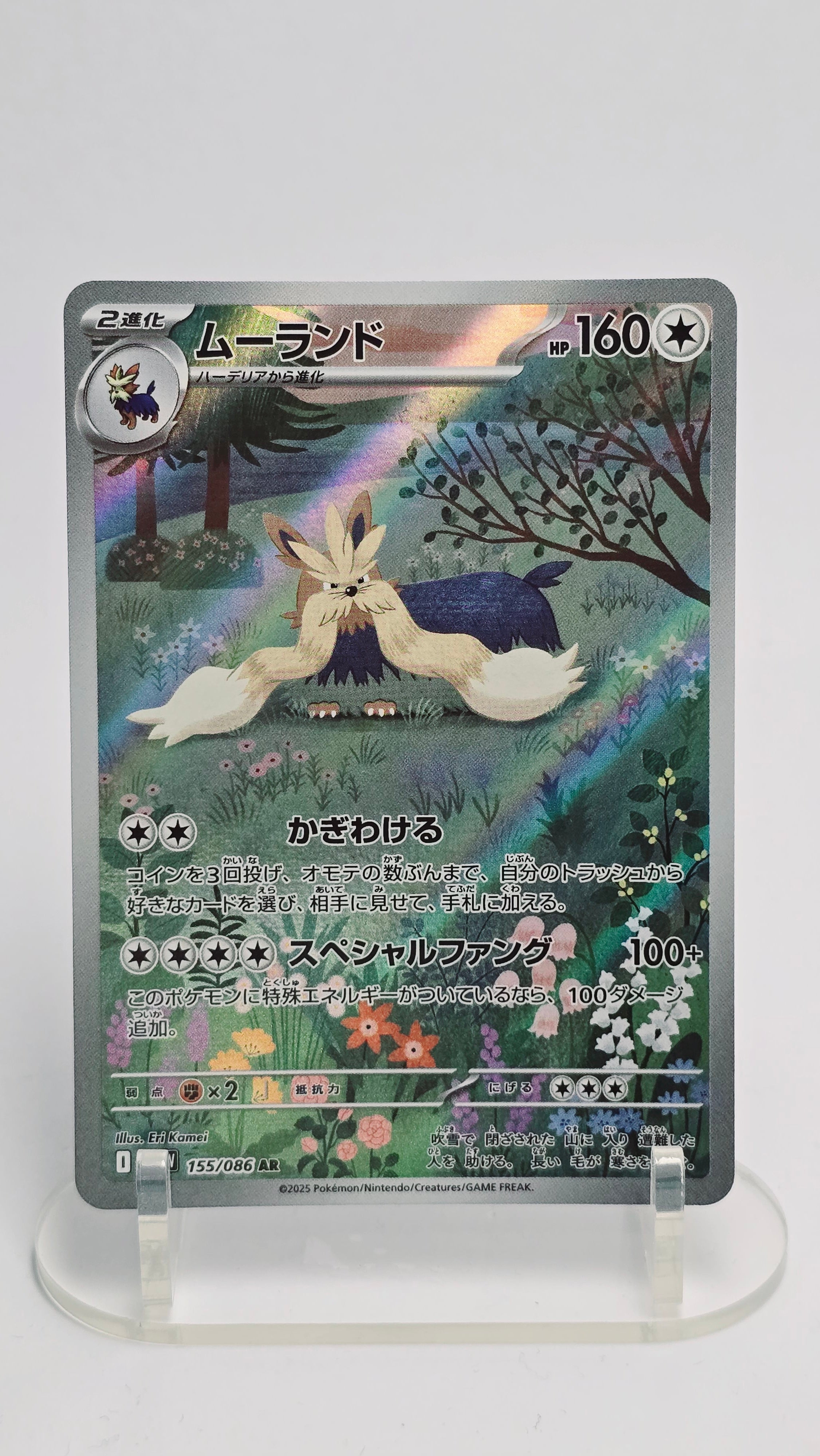 Stoutland (JP) - White Flare - AR 155/086 - Japanese (JP)