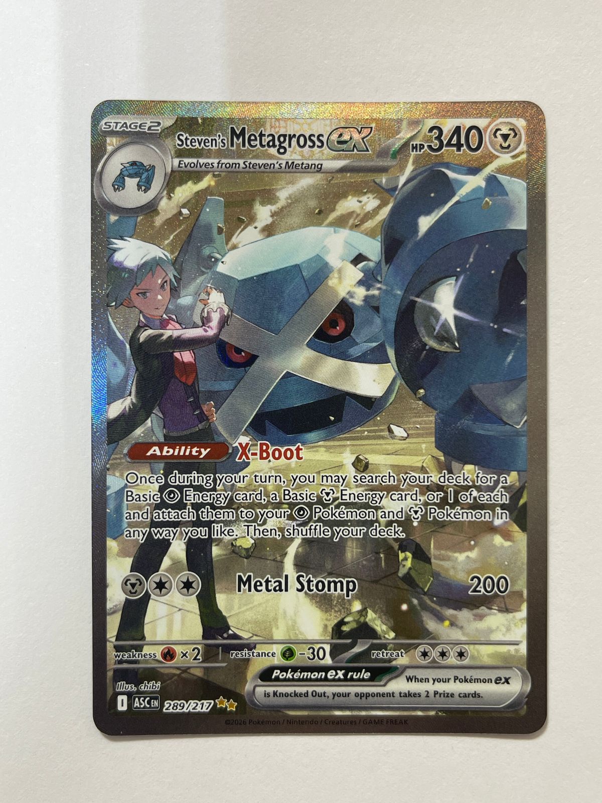 Steven's Metagross EX 289/217