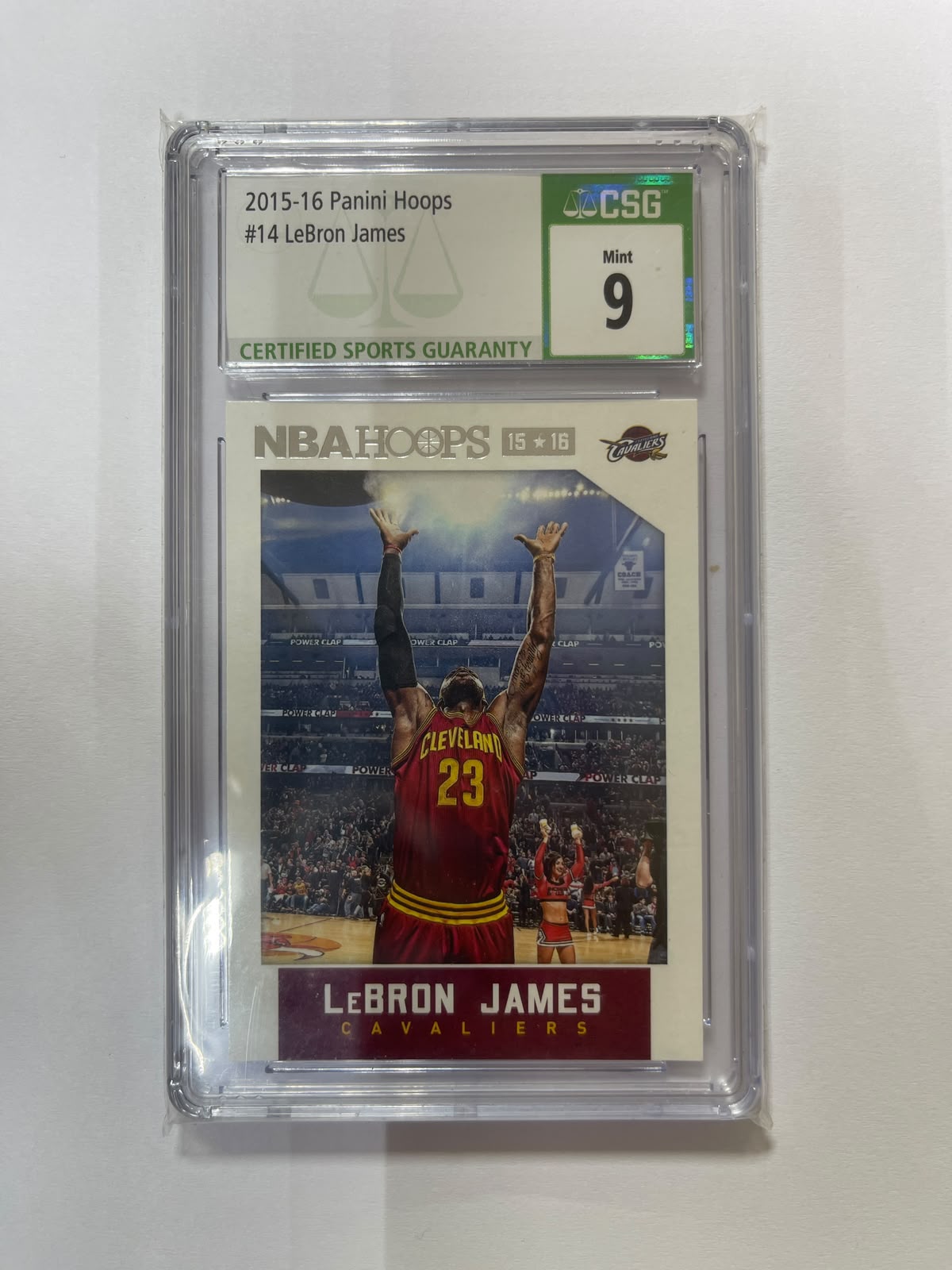 LeBron James - 2015-2016 Panini NBA Hoops ICONIC Photo Chalk Toss CSG 9