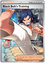 Black Belt's Training #255/217 Ultra Rare | Mega Evolution – Ascended Heroes