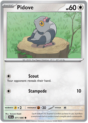 Pidove #071/086 Common | Scarlet & Violet – Black Bolt