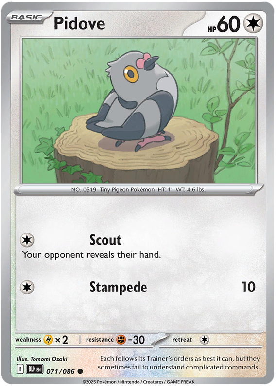 Pidove #071/086 Common | Scarlet & Violet – Black Bolt