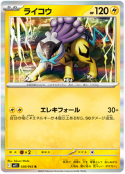 Raikou #030/063 Holo Rare | Mega Symphonia
