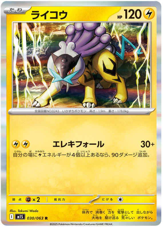 Raikou #030/063 Holo Rare | Mega Symphonia
