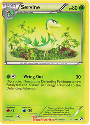 Octillery #004/062 Common | Raging Surf