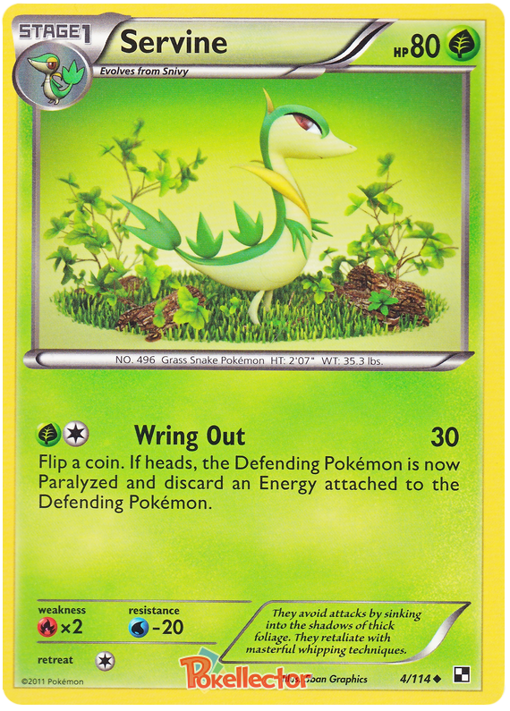 Octillery #004/062 Common | Raging Surf